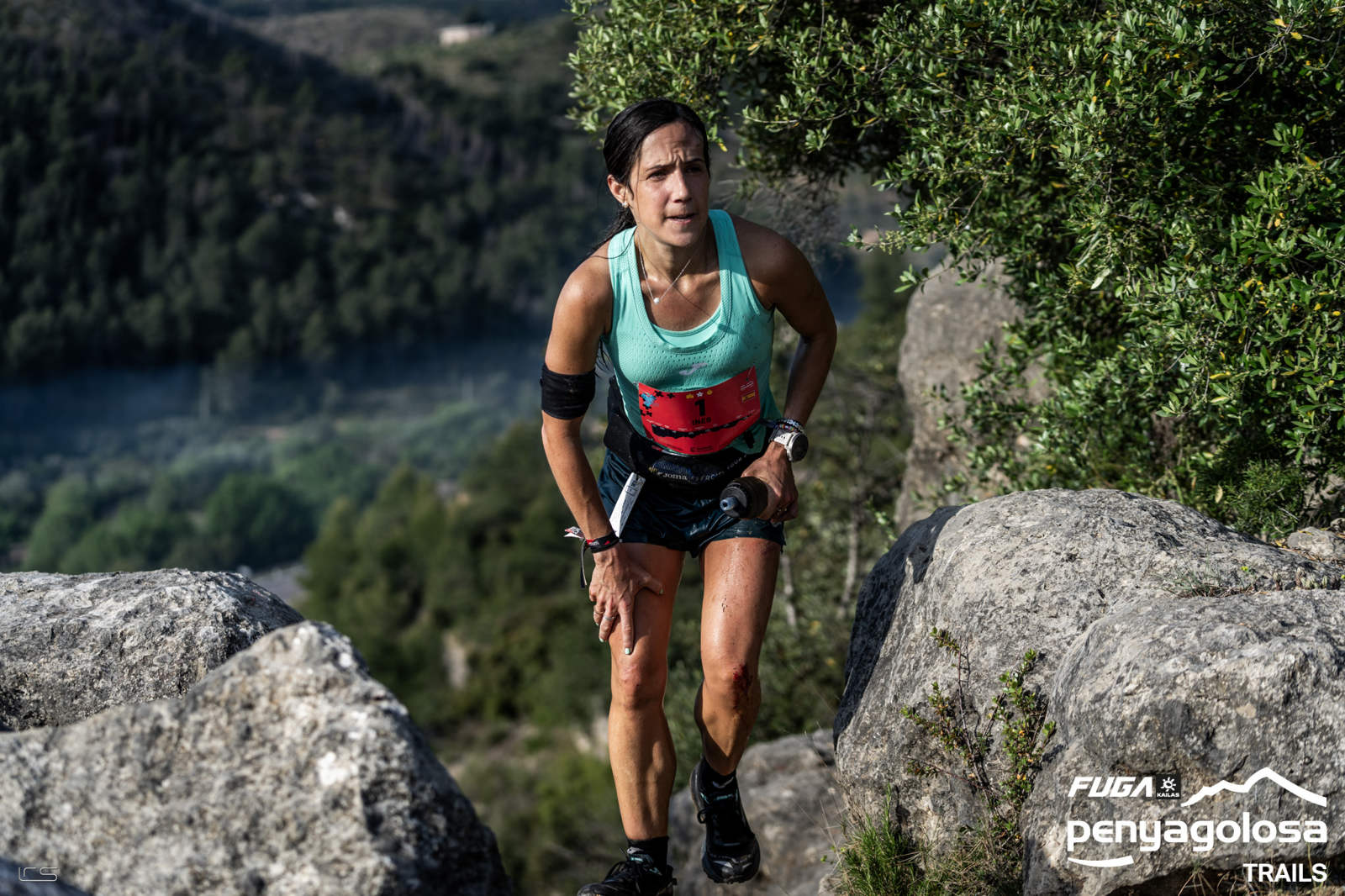 imagen del album Les&nbsp;Useres&nbsp;MiM by Last&nbsp;Race&nbsp;Studio 